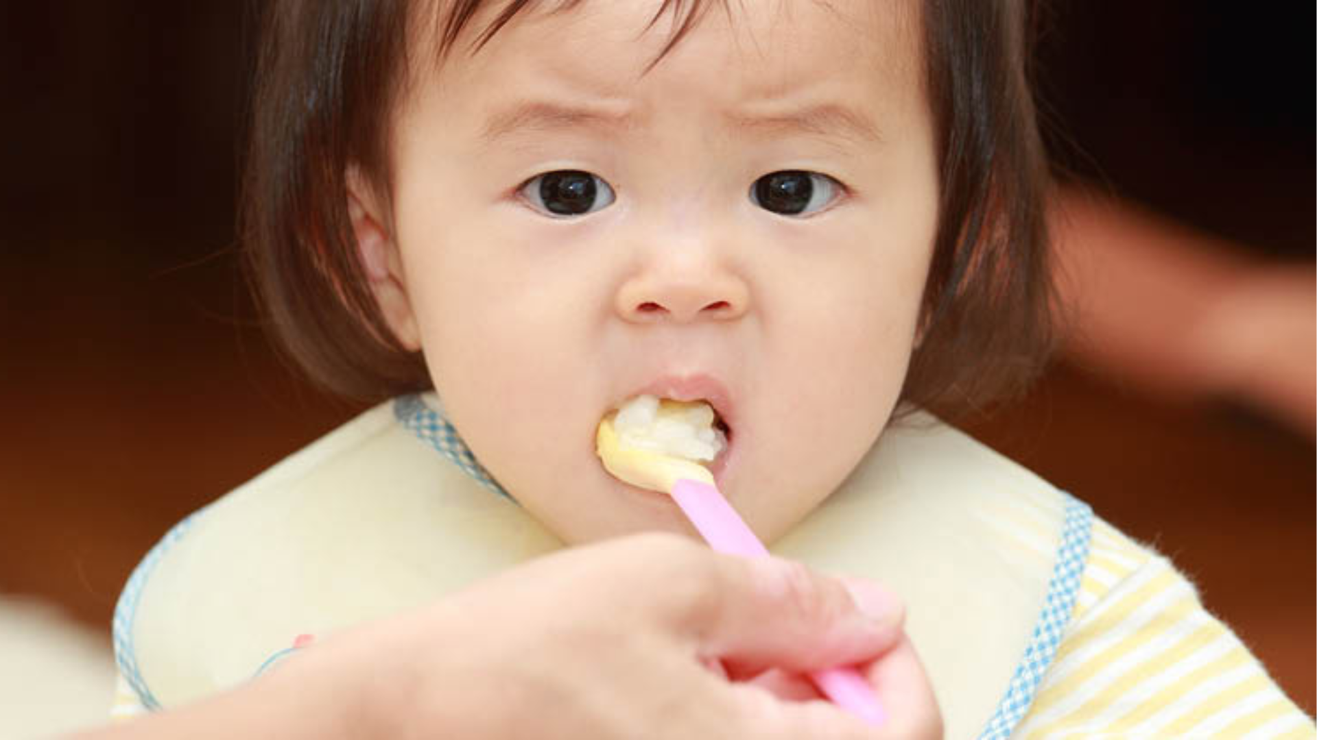 Industrial Mixers for Baby Food Processing