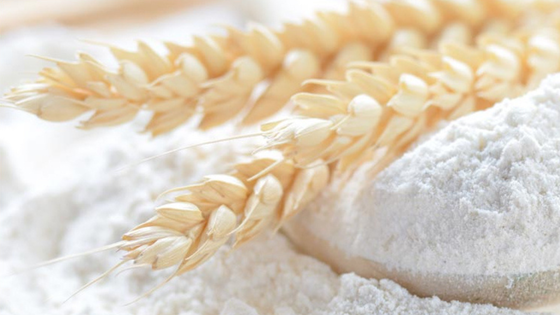 Industrial Mixers for Flour Processing