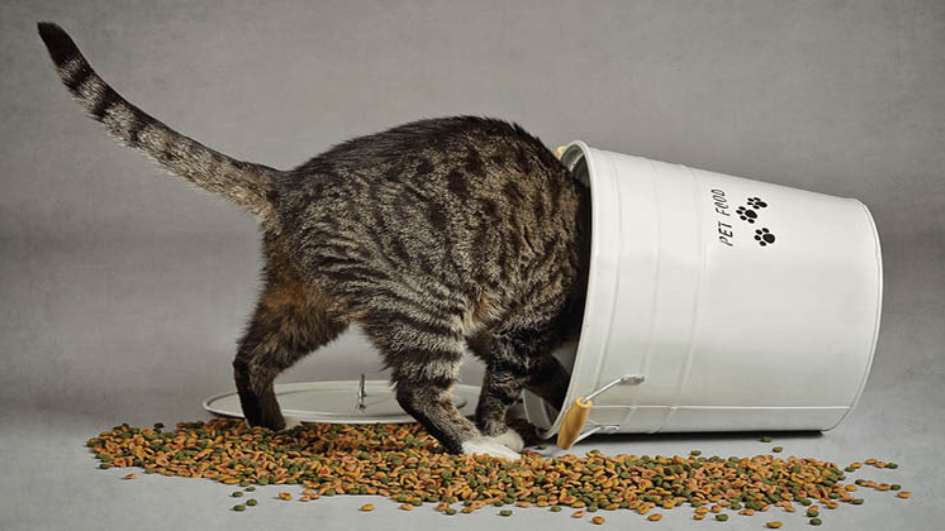 Industrial Pet Food Mixers