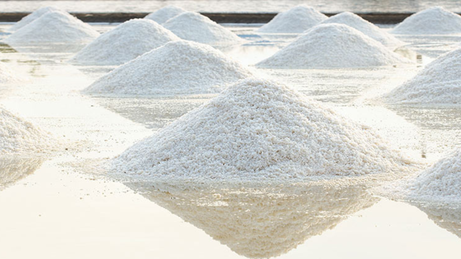 Industrial Mixers for Salt Processing