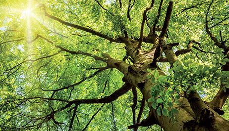 Lost de problemen veroorzaakt door stofvervuiling op